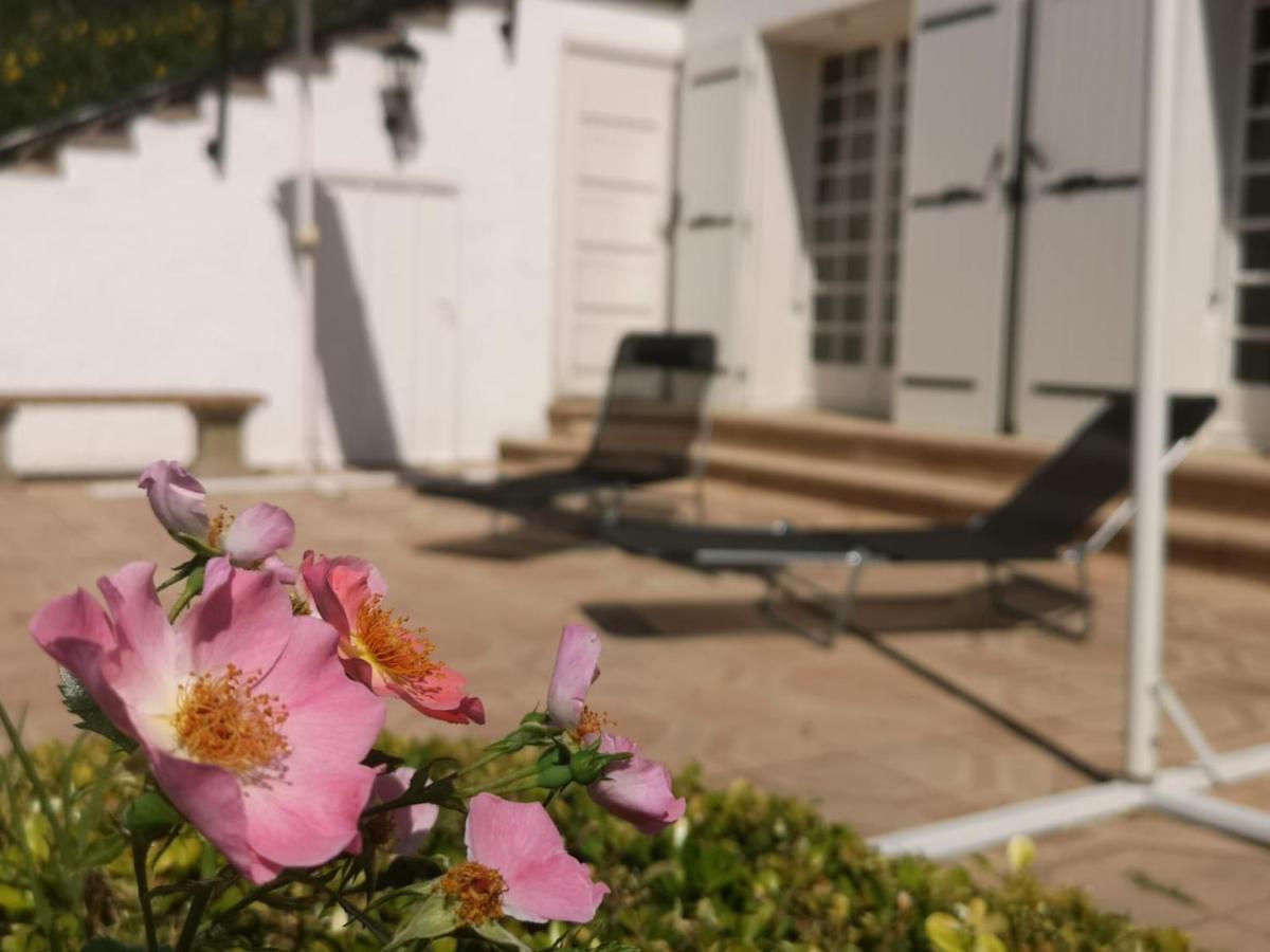 Bellevue Bed & Breakfast Chateauneuf-de-Galaure Exterior foto